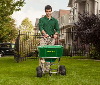 Lawn Care Services In Milwaukee Weed Man