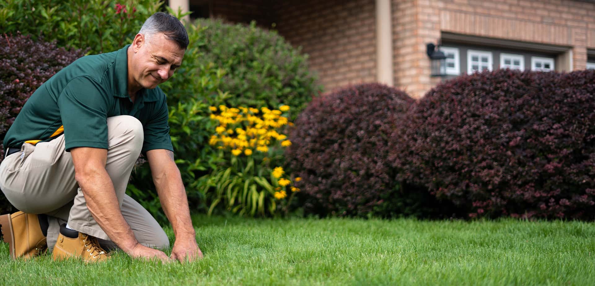 weed lawn care services