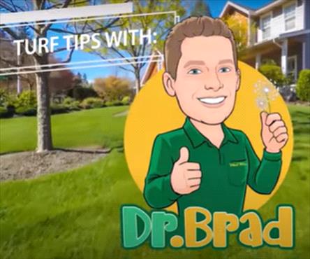 On the Lawn with Dr Brad
